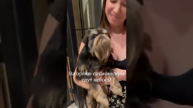 😂😂Депутат госдумы высказался о россиянах смотреть онлайн