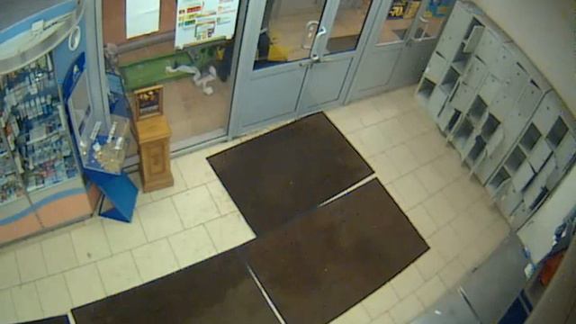 Кража терминала в 7 Континенте на Михневской 4 смотреть онлайн