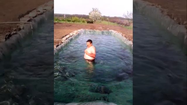 Водоем для гусей проверяет самый главный гусь. смотреть онлайн