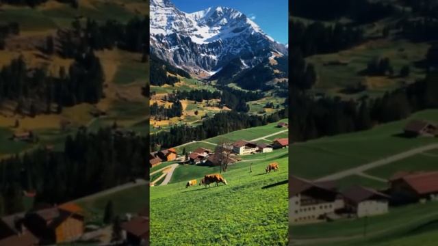 АФФИРМАЦИИ. ПОЗИТИВНЫЙ НАСТРОЙ НА ДЕНЬ ☀ смотреть онлайн