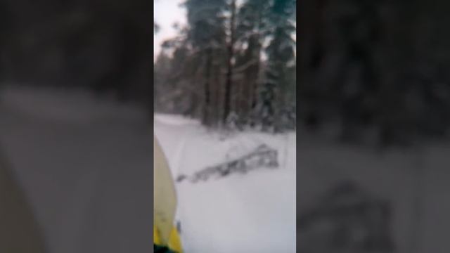 Снегоход рысь 500м по лесу смотреть онлайн
