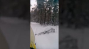 Снегоход рысь 500м по лесу