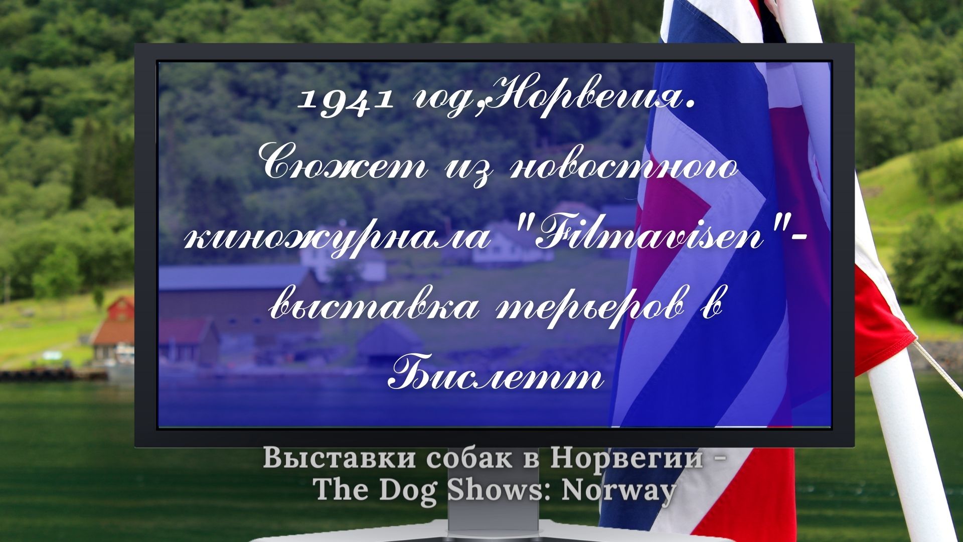 1941 год, Норвегия. Выставка терьеров в Бислетт.