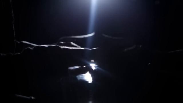 FLESHGOD APOCALYPSE - The Forsaking (OFFICIAL MUSIC VIDEO)