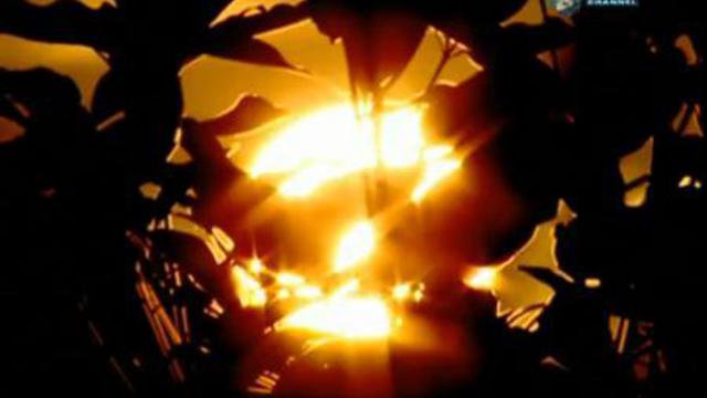 я проснулся в морге. discovery смотреть онлайн