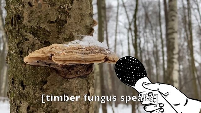 НОВОГОДНЕЕ ОБРАЩЕНИЕ РАСТИТЕЛЬНОГО ВЕСТНИКА 2020 || PLANT REPORTER'S NEW YEAR MESSAGE 2020 смотреть онлайн