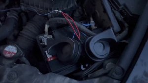 Громкий звонкий сигнал ДЕРЗКИЙ МАЛЫЙ