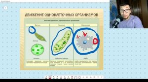 Онлайн урок биология 5 класс | ПРОСТЕЙШИЕ | царство животные