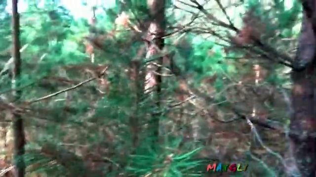 Рядовки Бывают Разными Грибы Мышата Большие. смотреть онлайн