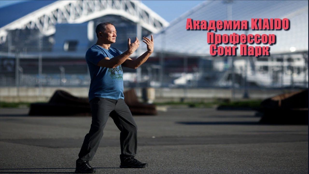 Стояние столбом. Цели и польза практики | Академия Киайдо | Гранд Мастер Сонг Парк смотреть онлайн