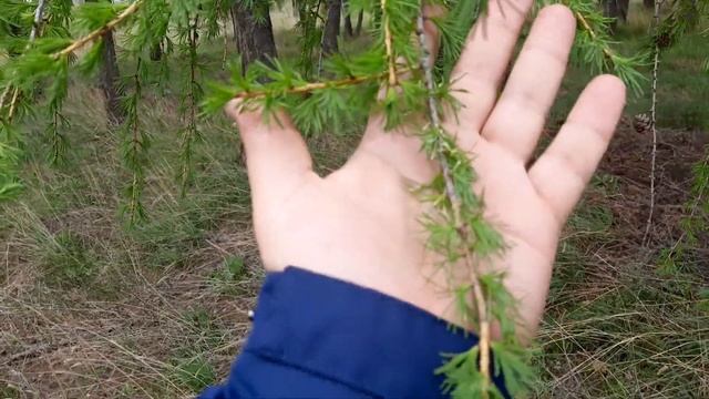 Красоты Самарского края смотреть онлайн
