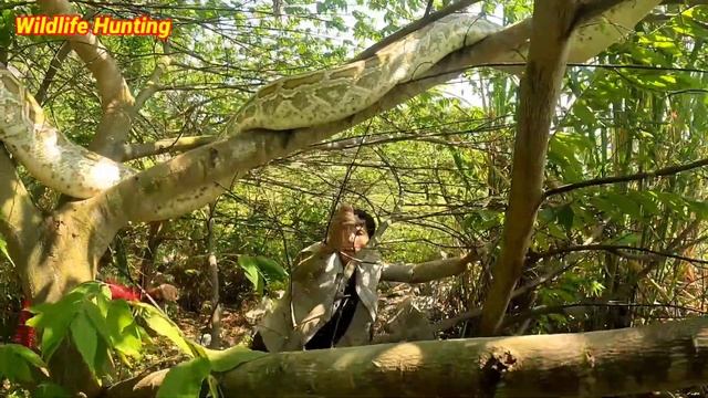 Young Man Facing With Ferocious Giant Python 100 kg | Wildlife Hunting смотреть онлайн