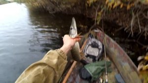 ЛОВЛЯ ЩУКИ  НА "ЛОЖКУ" (небольшой видео отчет)