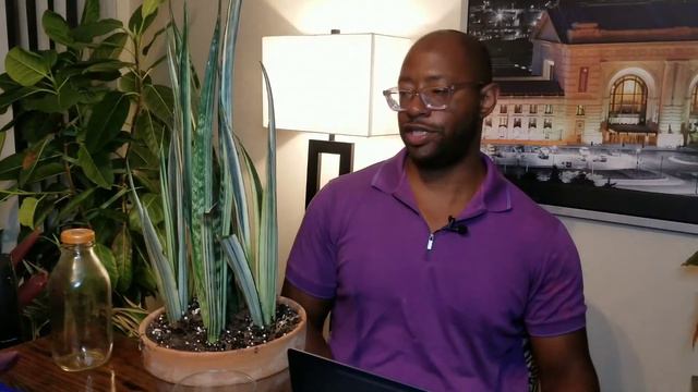 Bantel Sensation Snake Plant Review смотреть онлайн