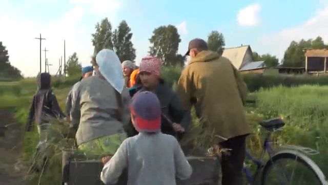 Готовимся на последний пятничный костёр. Голубиные ухаживания и песни. 19. 07. 2018 смотреть онлайн