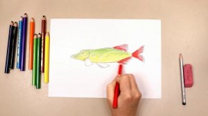 Как нарисовать щуку?Урок рисования ?️