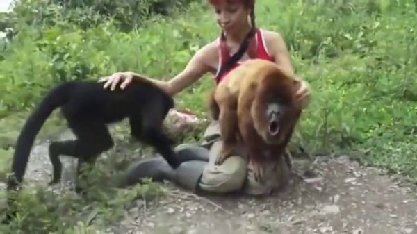 Обезьяна Ревун!!!! ревет как .......Обезьяна))))))