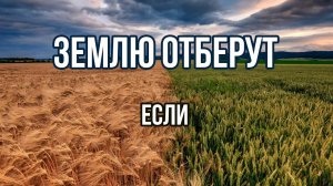 Землю отберут если... | Рассматриваем аренду и собственность