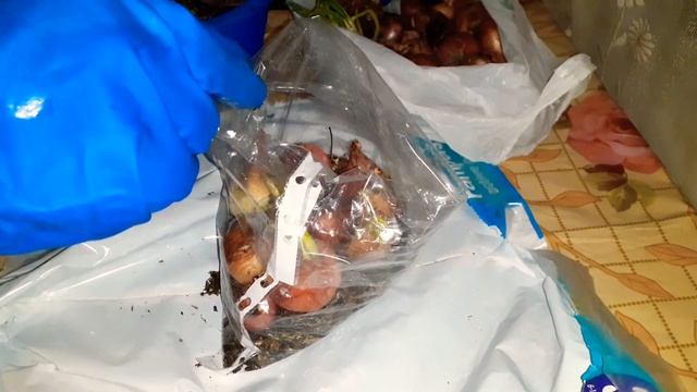 ЛУК НА ПЕРО В ПАКЕТЕ смотреть онлайн