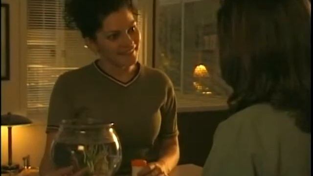 Vet Emergency 2 21 смотреть онлайн