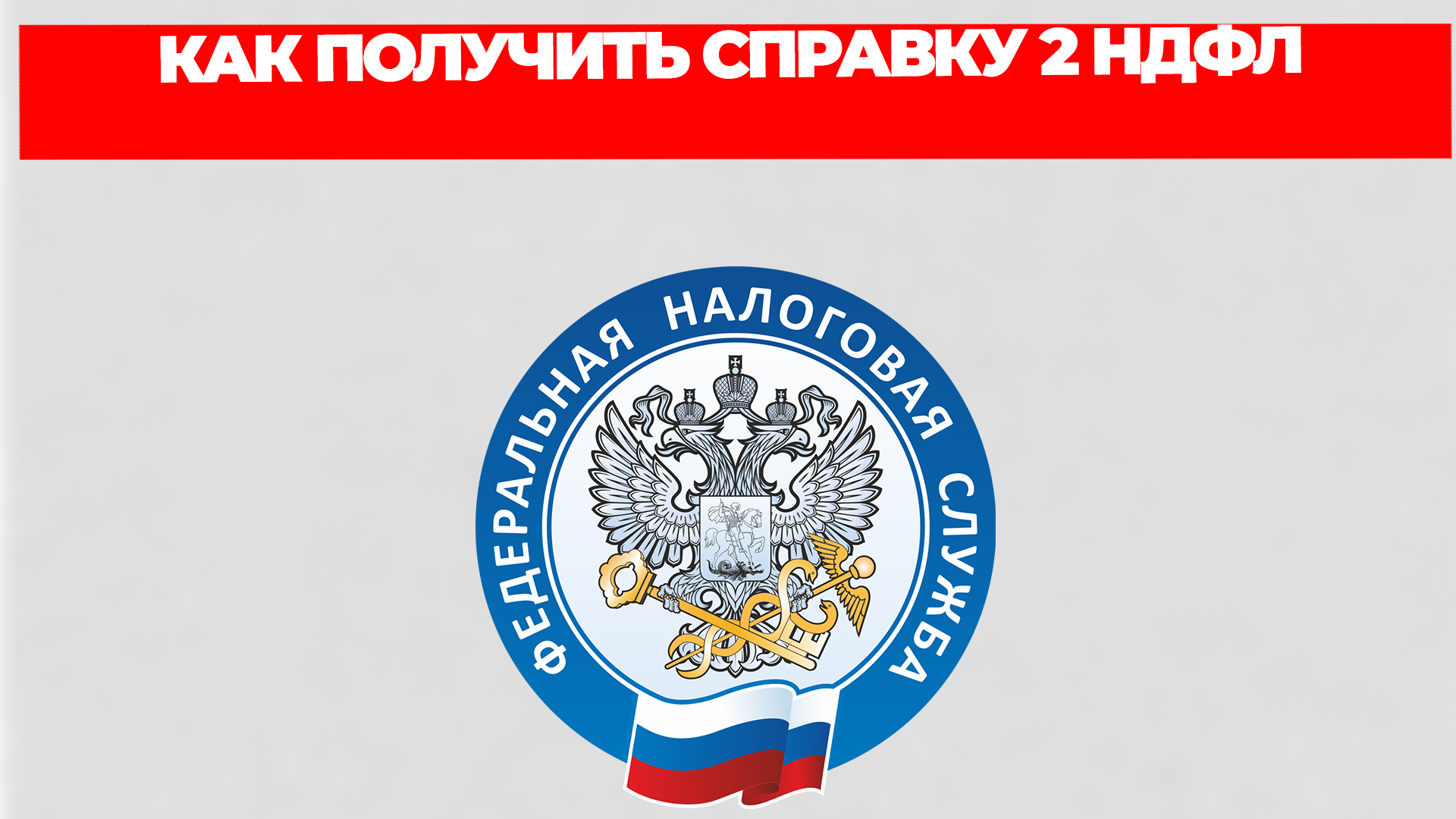 Всезнающий Енот