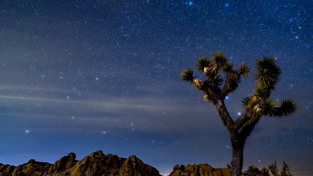 Surah Maryam By Muhammad Dibirov