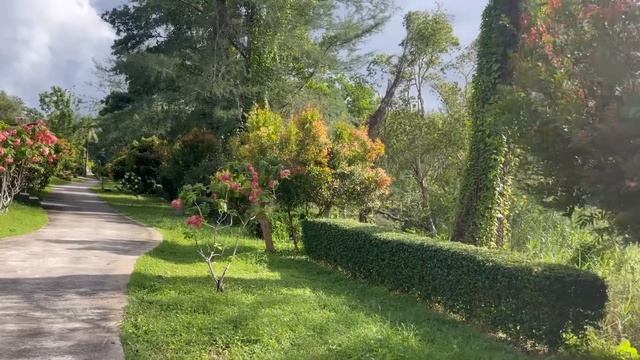 ЦЕНЫ НА ПХУКЕТЕ! ВСЕ СИЛЬНО ПОДОРОЖАЛО!