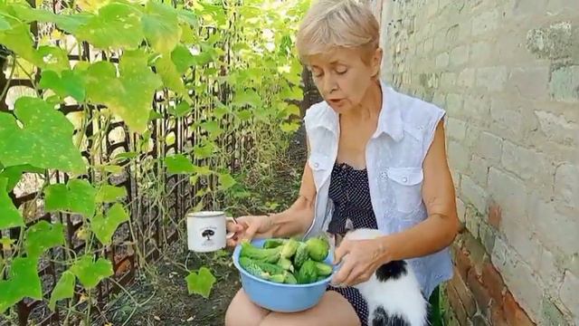 Доброе свежее утро. Славянск 23 августа 2023 смотреть онлайн