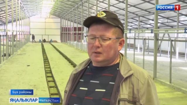 Буа районыннан фермер Петр Лапшин яңа сөтчелек фермасы җиткезә смотреть онлайн