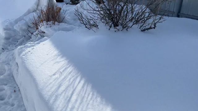 Весна! Розы! Открываю домики! смотреть онлайн