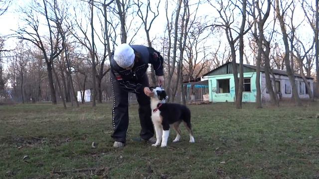 Мишка учится стоять смотреть онлайн