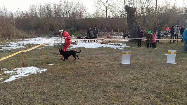 VID 20201031 092945 смотреть онлайн