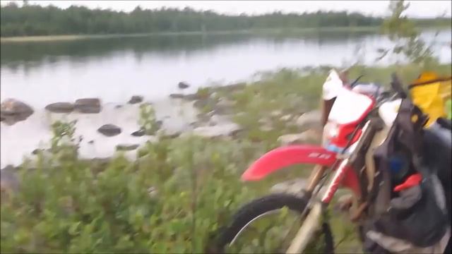 Медведи продолжают проявлять активность в Мурманской области смотреть онлайн