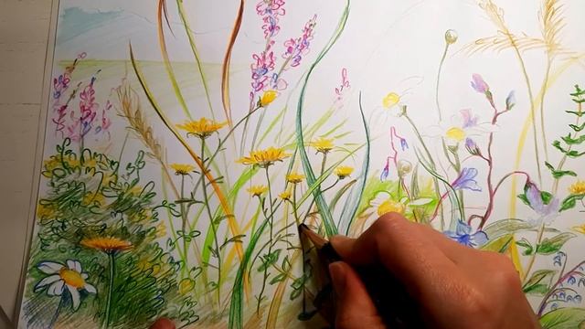 Мастер-класс по Ботанике. Рисуем поляну цветными карандашами. смотреть онлайн