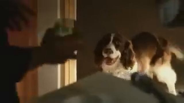 America's Test Kitchen: Let's Get Cooking USA Commercial 2 смотреть онлайн