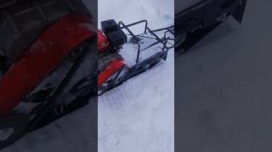 мотосабака  форза