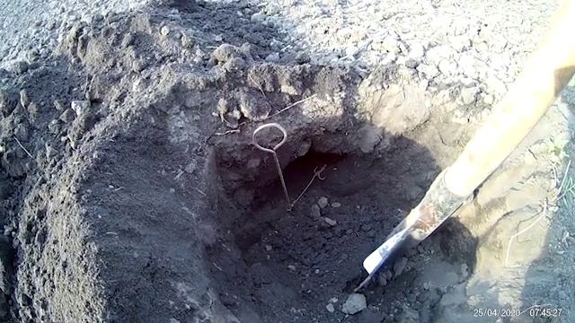 НАДЕЖНЫЙ НО ЖЕСТОКИЙ СПОСОБ ОТЛОВА КРОТОВ И СЛЕПЫШЕЙ смотреть онлайн