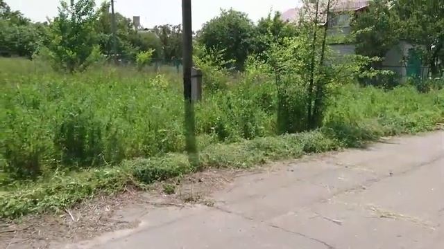 Продам земельный участок 32 сотки под строительство. пгт Царичанка. До реки Орель 200 метров смотреть онлайн