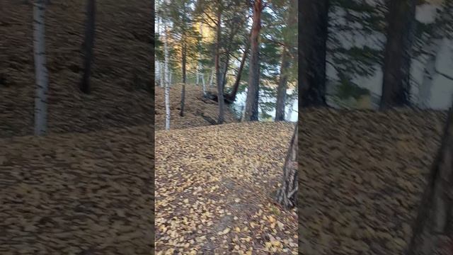 прошлой осенью.#shorts смотреть онлайн