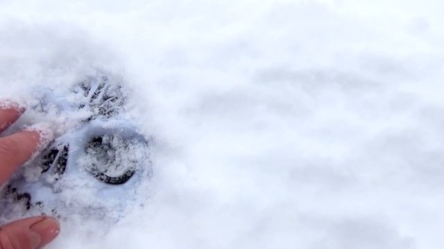 ПРИЗРАК В РЕАЛЬНОЙ ЖИЗНИ Мистика ПРАНК над Парнем