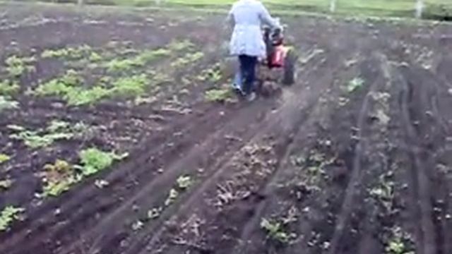 плоскорез культиватор с трапециовидным прицепным устройством смотреть онлайн