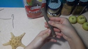 Медовая палочка для попугая I Своими руками
