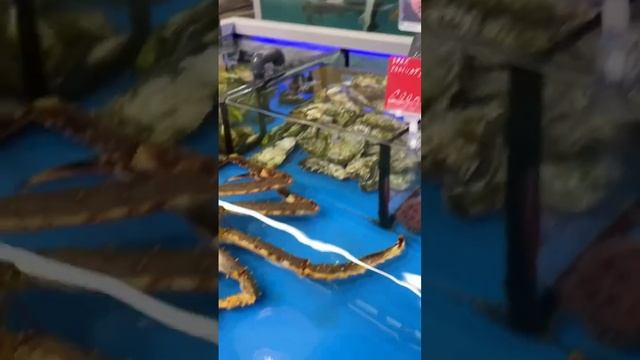 Невероятный огромнейший живой краб! Сколько стоит? смотреть онлайн