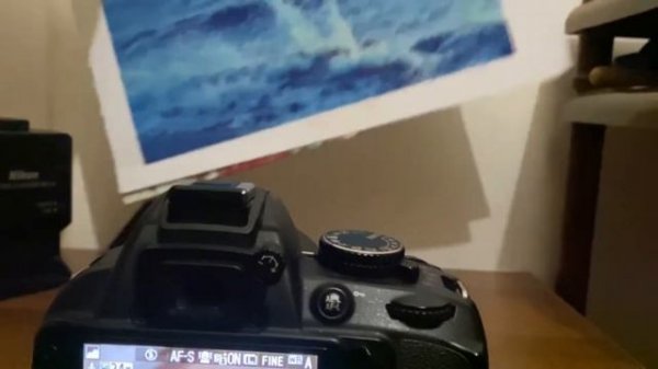 Nikon D3100 проверка перед дистанционной покупкой?