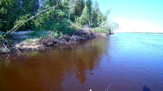 СУПЕР КЛЕВ ЩУКИ 3 на реке Вычегда в Архангельской области. бог любит троицу)))/ SUPER CLEV SCHUKI смотреть онлайн