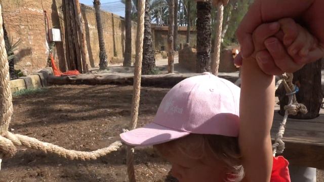 Тигры, львы и другие хищники в испанском зоопарке Rio Safari Elche | Family Drive VLOG смотреть онлайн