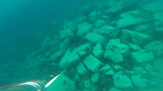 Подводная охота в Камбодже на группера смотреть онлайн