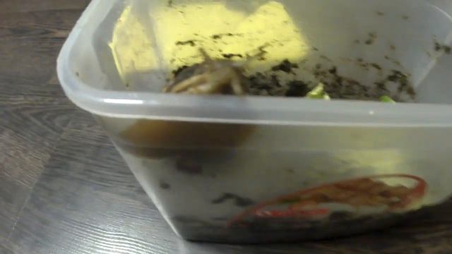 улитки смотреть онлайн