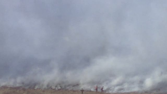 Горят лес и степь в Забайкальском крае смотреть онлайн