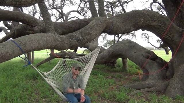 Hammock Survival Overnight and Modification смотреть онлайн